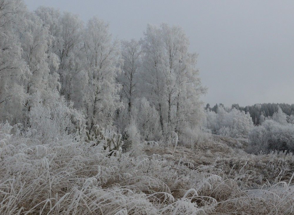 Photograph by Елена Федорова