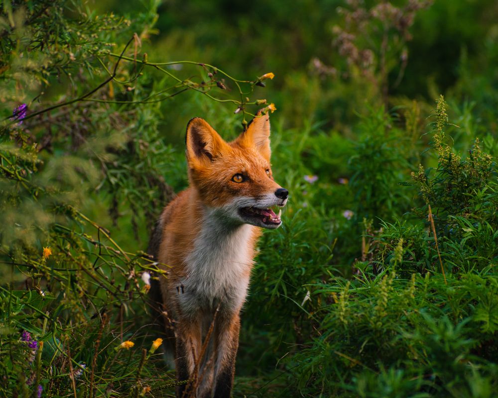 Photograph by Михаил Бирюков