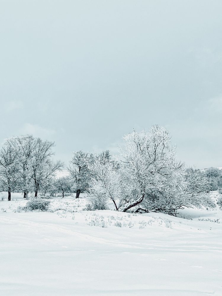 Photograph by Ирина Куренкова