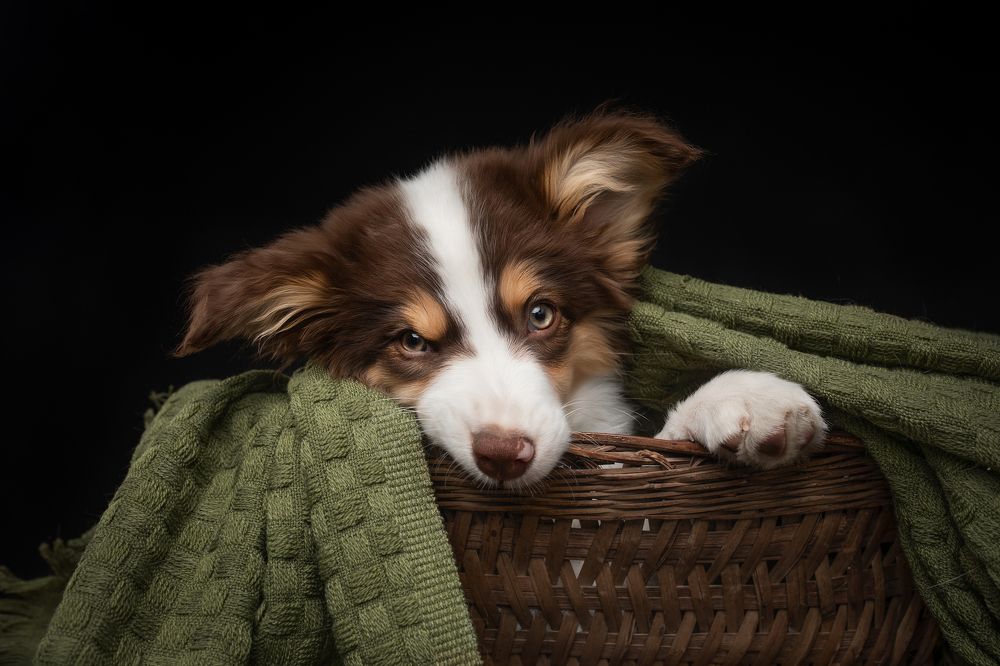 Photograph by 鲁 文漪