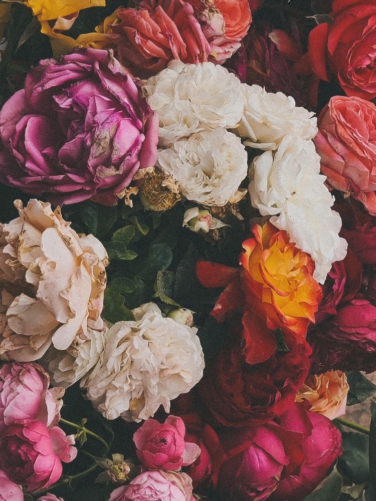 Photograph by Victoria Stoliarenko