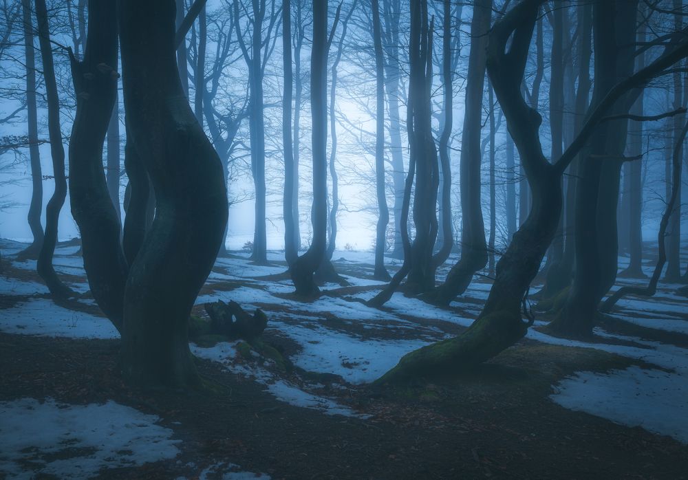 Фотография автора Adam Nedojedlý