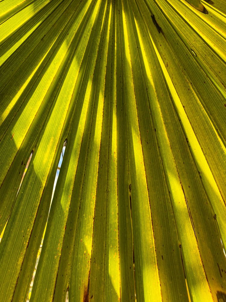 Photograph by Efremenko Nikita