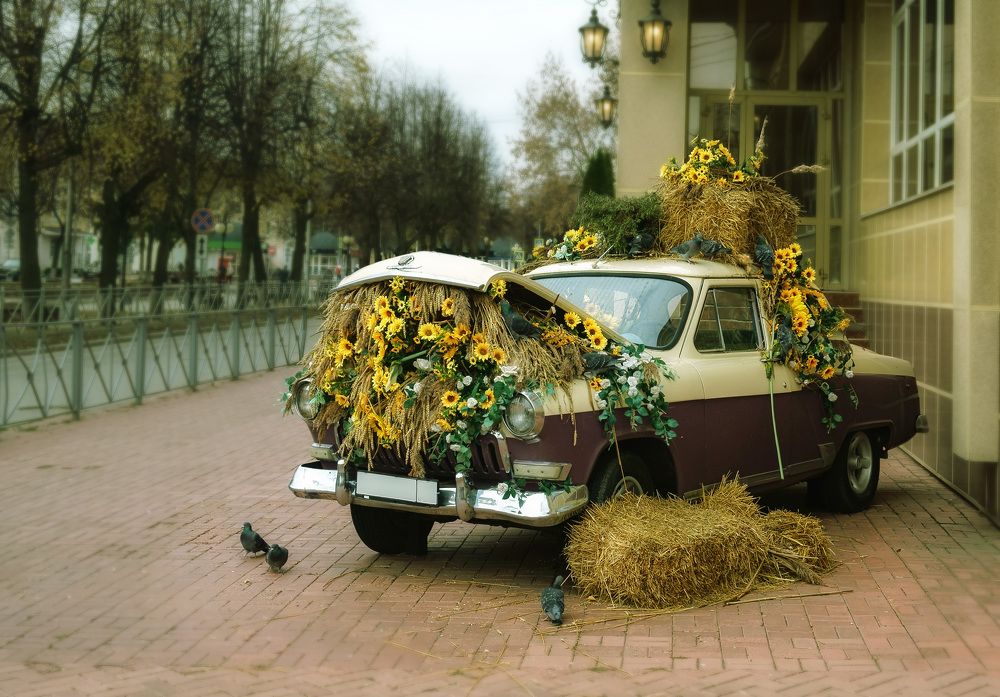 Photograph by Светлана Иванова