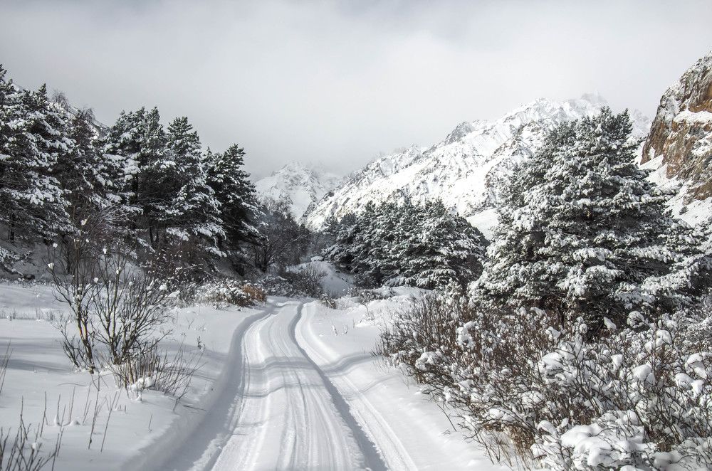 Photograph by Николай Морозов