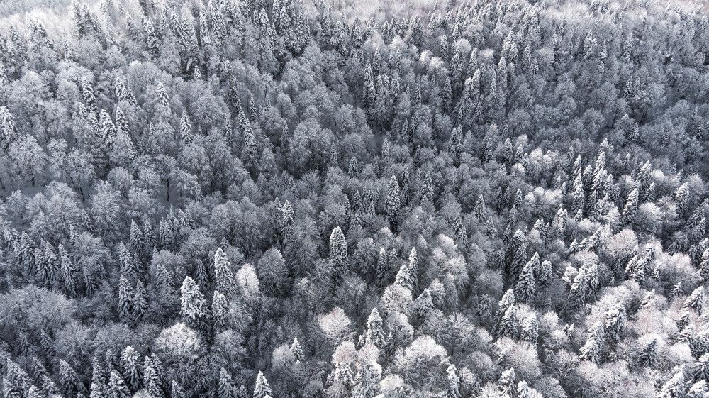 Photograph by Николай Морозов