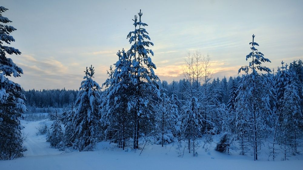 Photograph by Александр Зуев