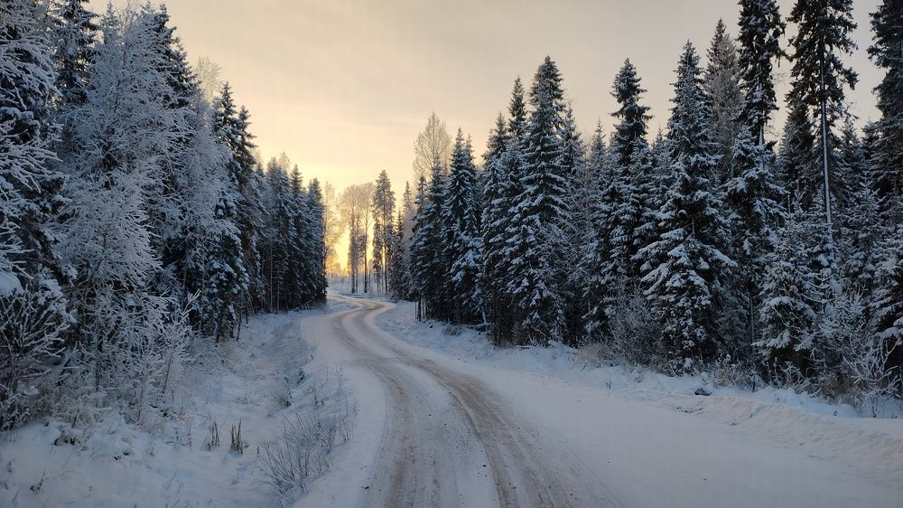 Photograph by Александр Зуев