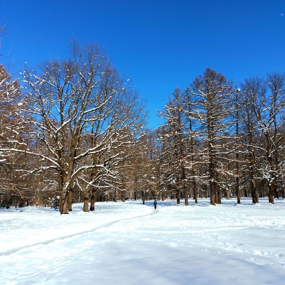 Фотография автора Наталья Бруёк