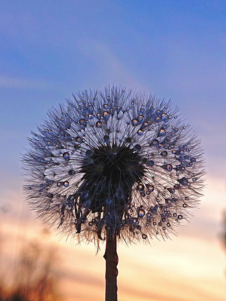 Последний луч заката...