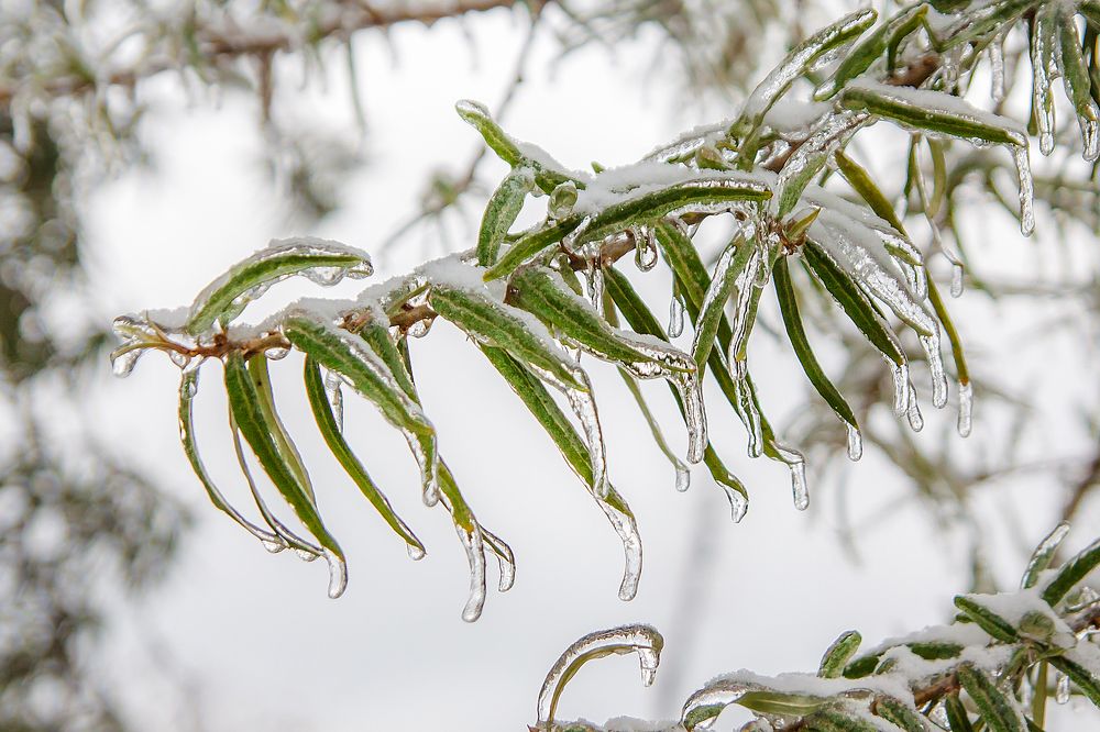 Photograph by Николай Осипенко