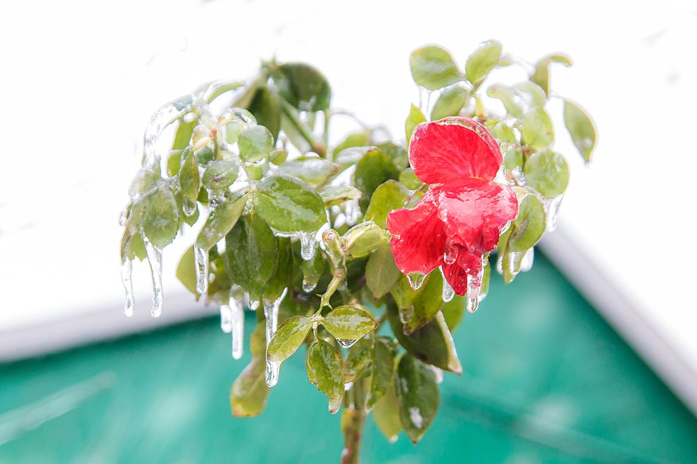 Photograph by Николай Осипенко