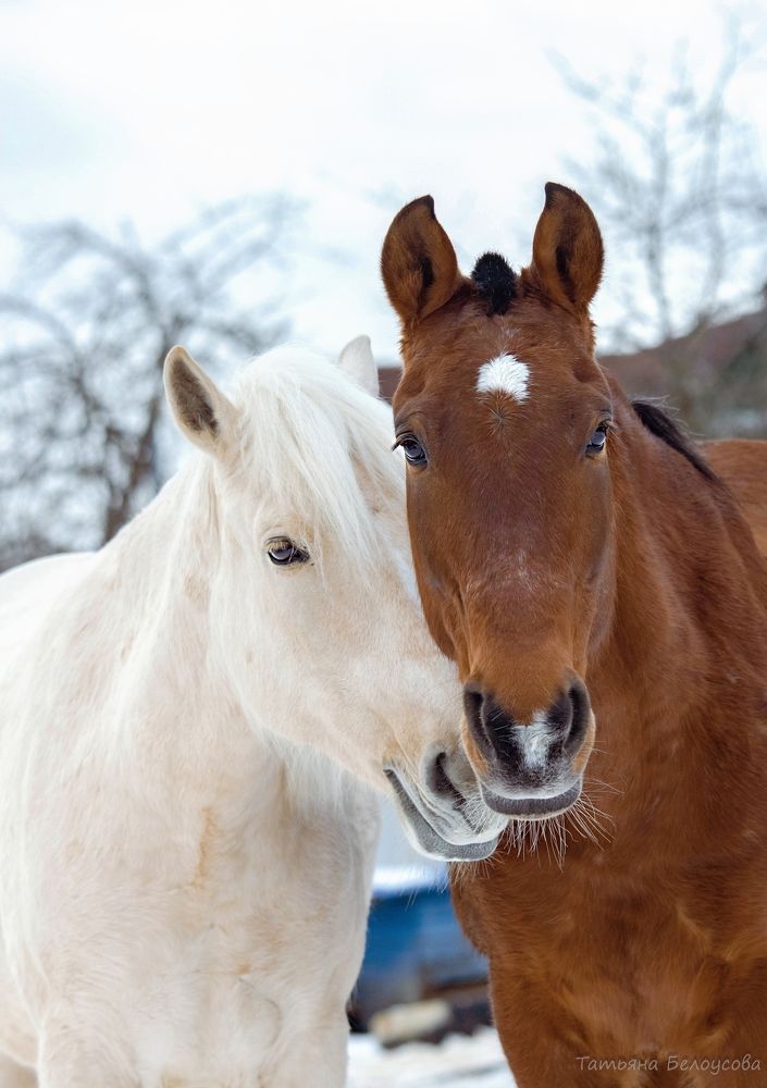 Photograph by Татьяна