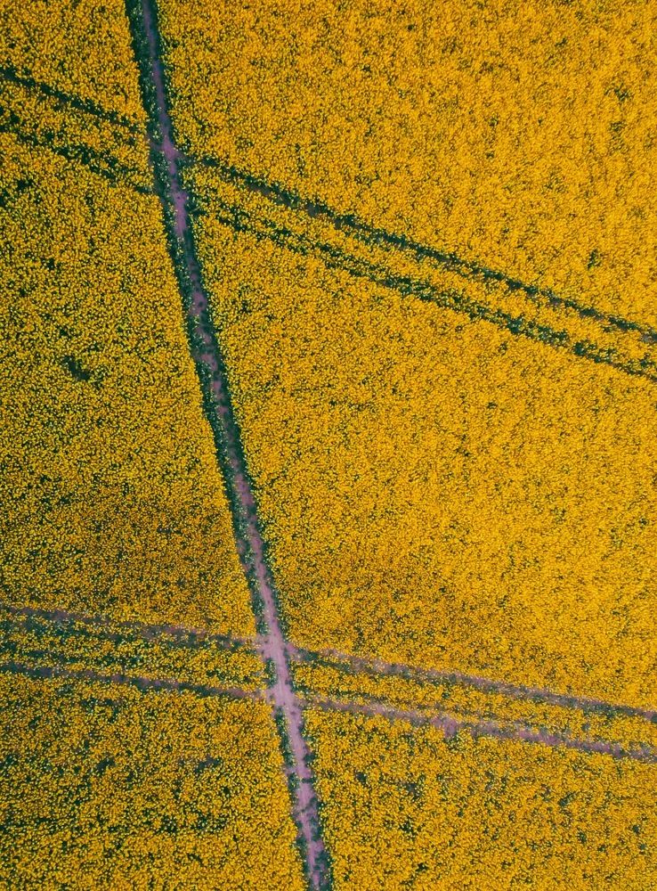 Фотография автора Геннадий Ломеко