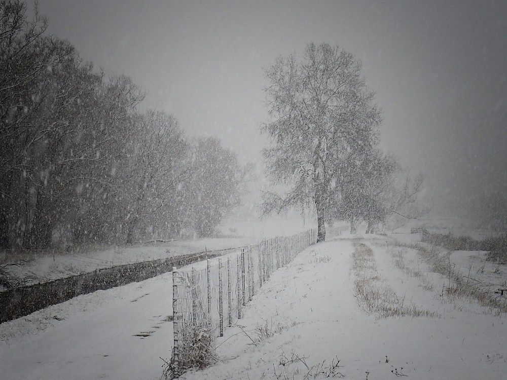 Photograph by Adrian Eperjessy