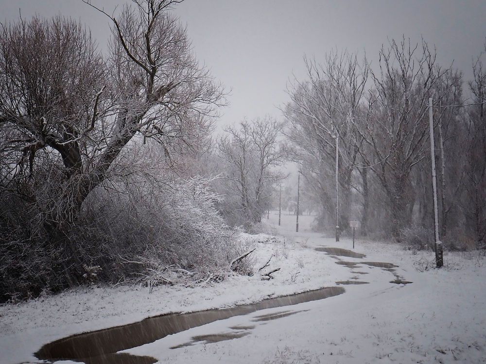 Photograph by Adrian Eperjessy