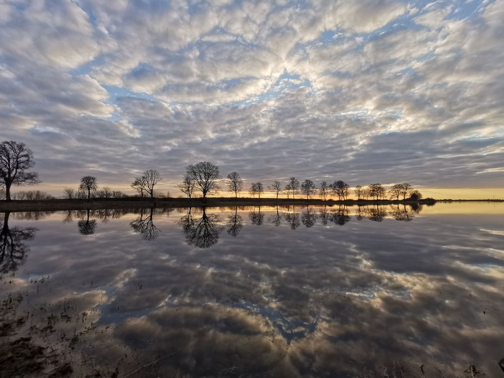 Photograph by Rita Būgienė