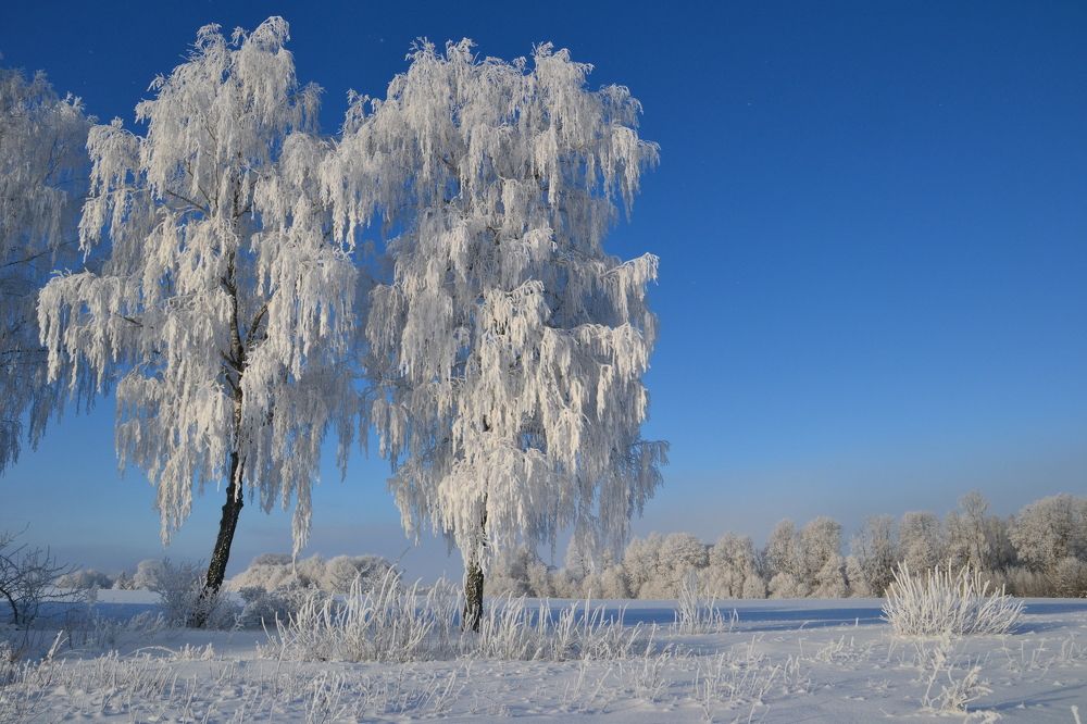 Photograph by Rita Būgienė