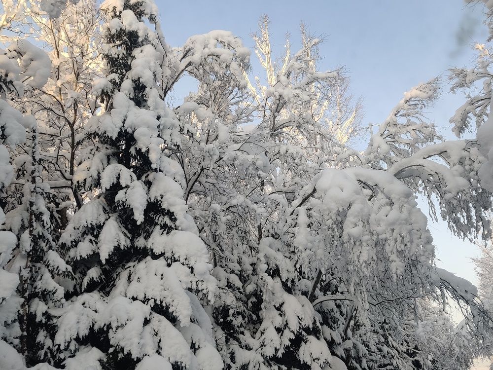 Photograph by Ирина Михайлова