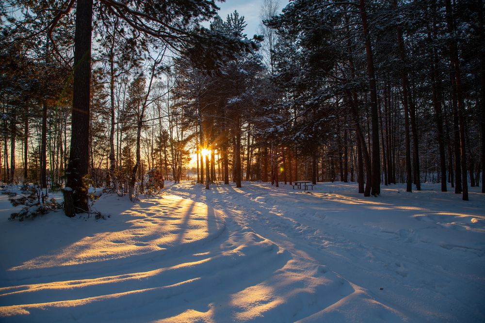 Фотография автора Елена Разина