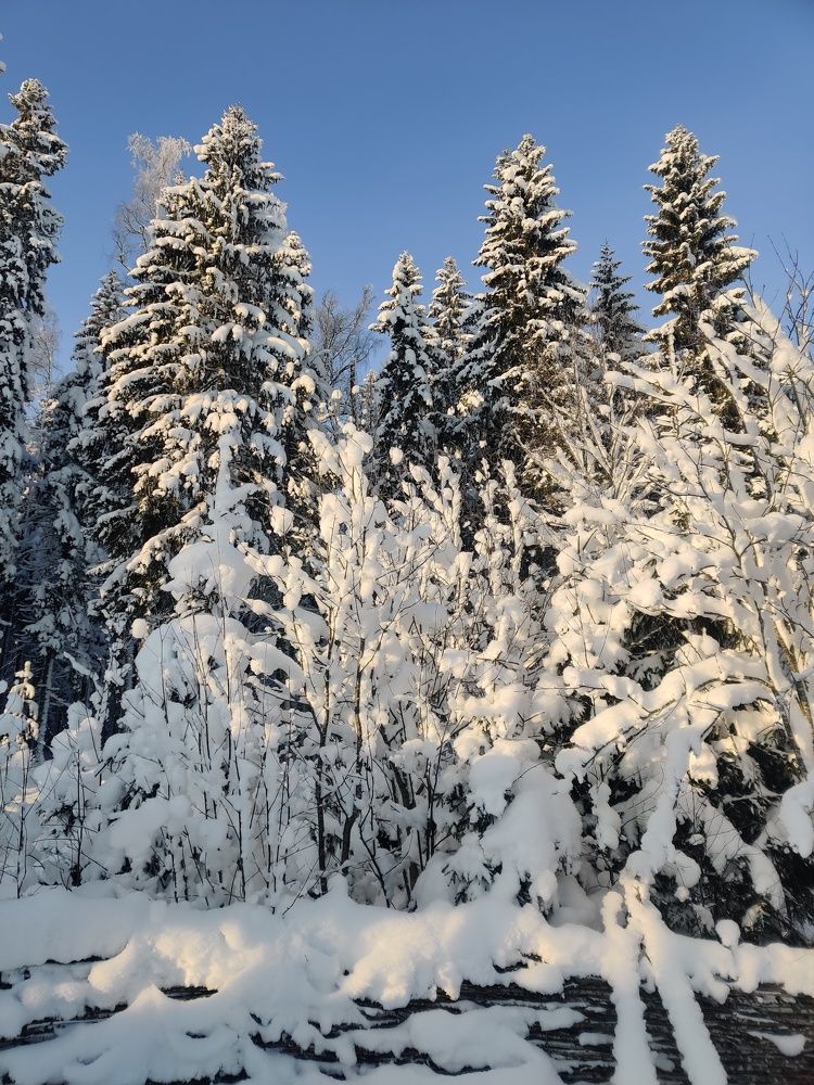 Photograph by Ирина Михайлова