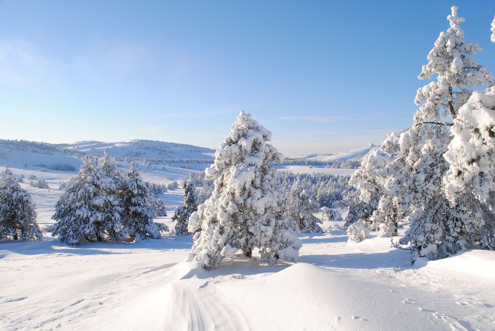 Photograph by Роман Туркин