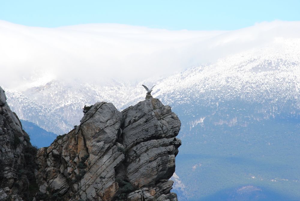 Photograph by Роман Туркин