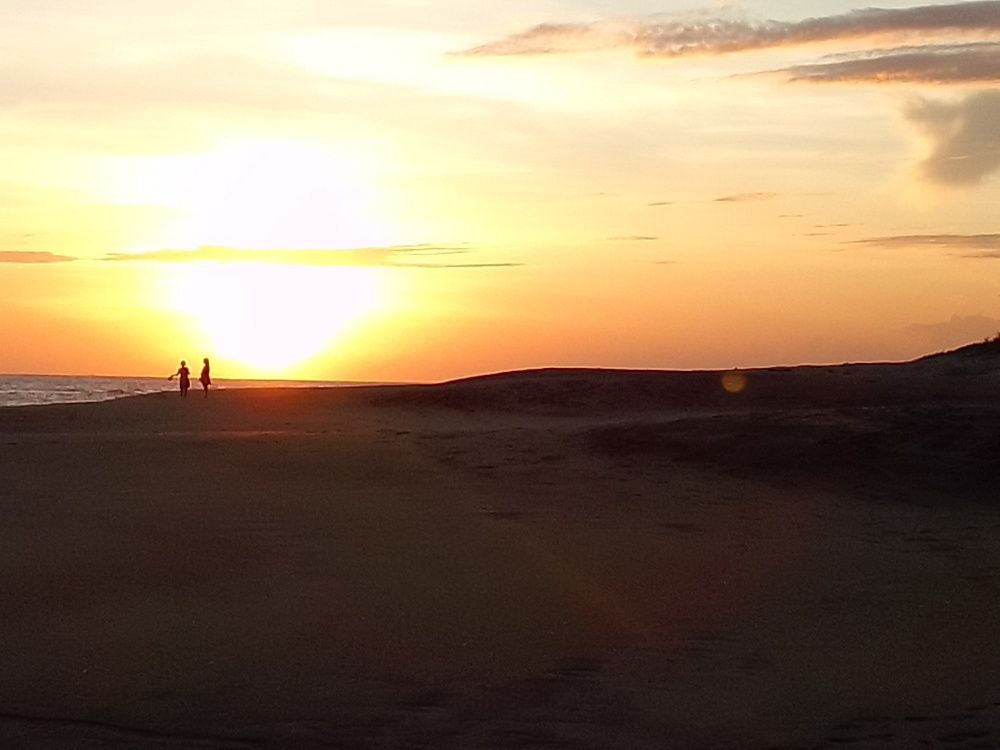 Photo #10027031