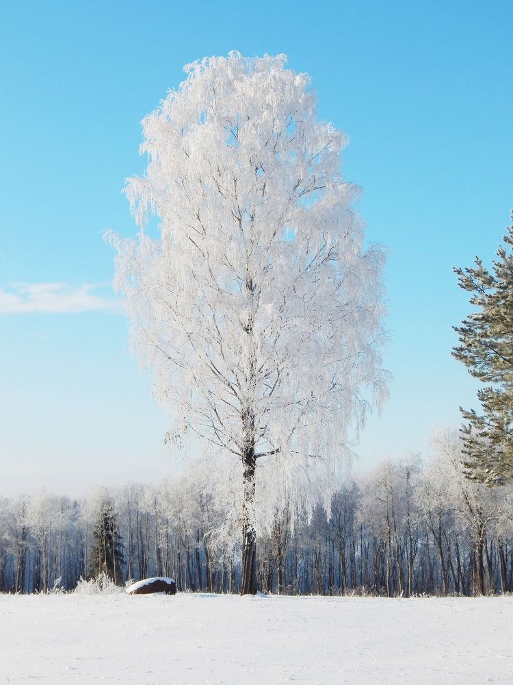 Photograph by Юрий Пучков