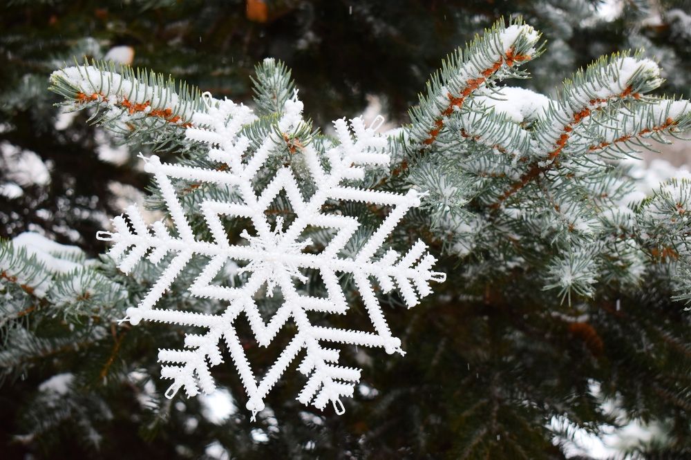 Photograph by Ксения Лебедева