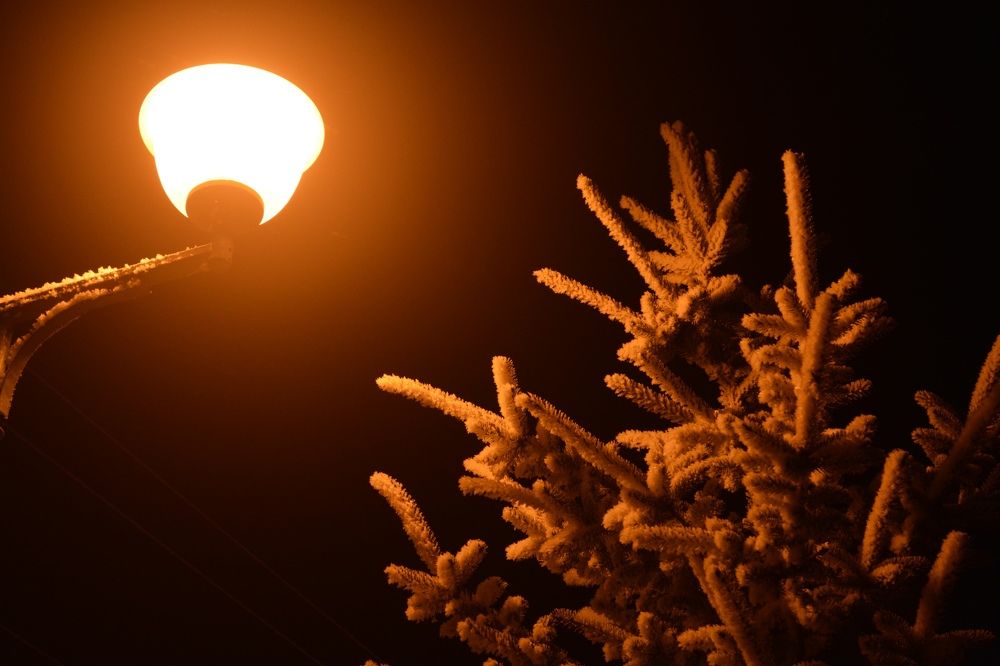 Photograph by Ксения Лебедева