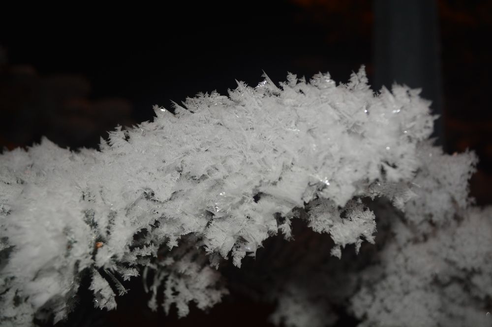 Photograph by Ксения Лебедева