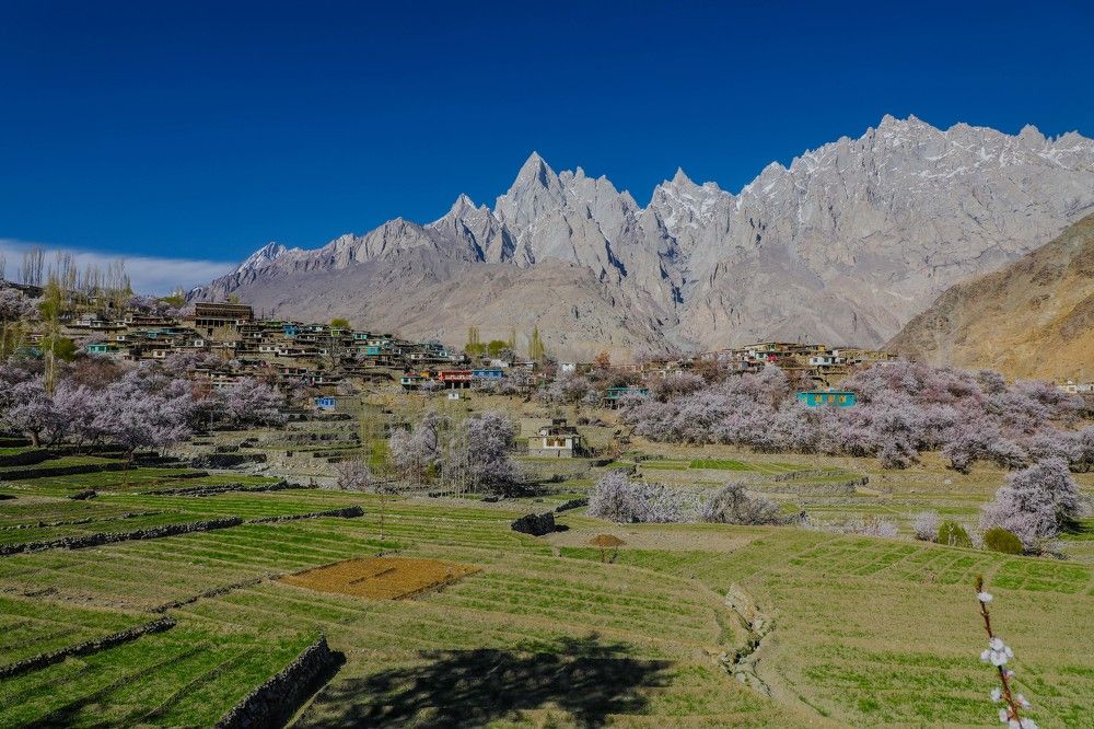 Photograph by A2 Zee Production