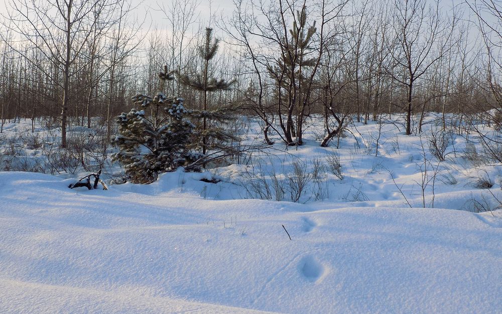 Photograph by Сергей Рудаков