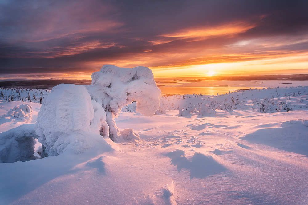 Photograph by Андрей Баскевич