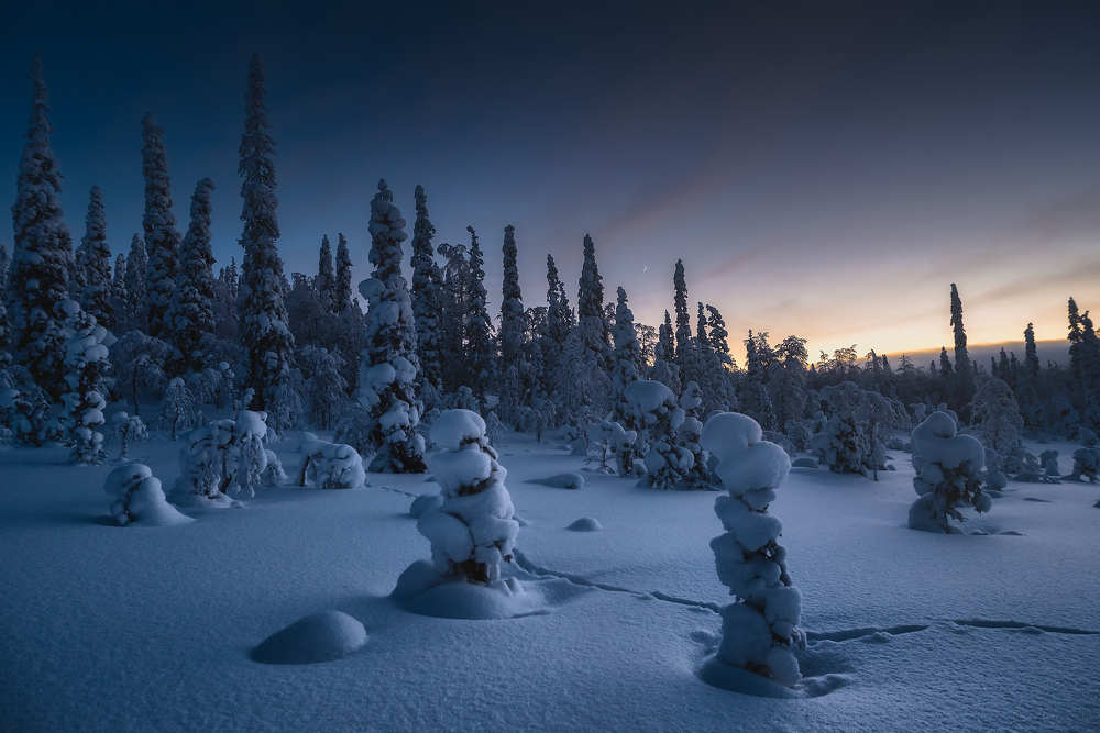 Photograph by Андрей Баскевич