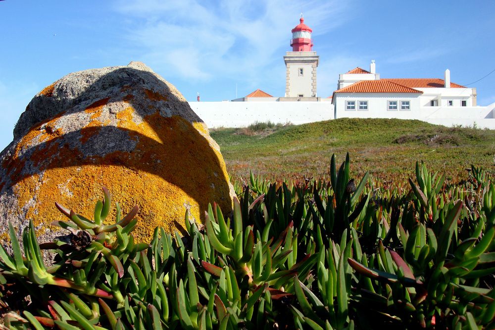 Photograph by Ольга Стоун