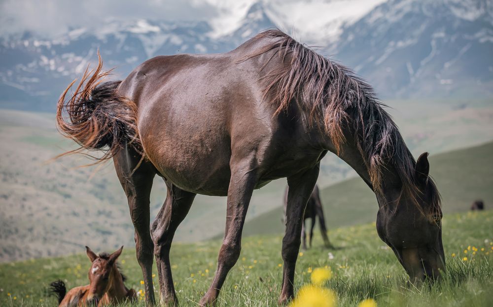 Photograph by Максим Волокитин
