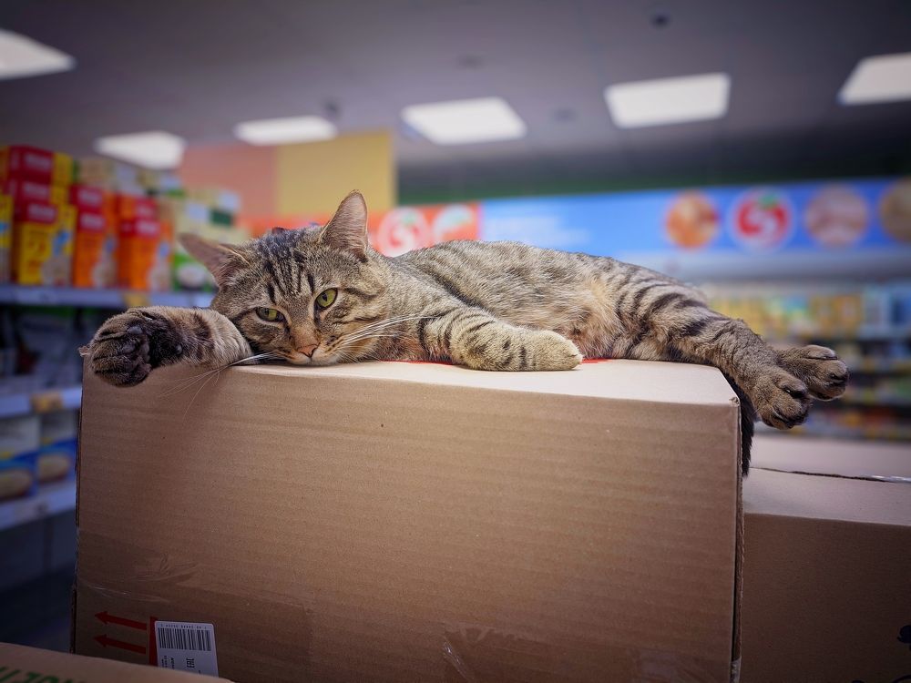 Photograph by Олега Тор