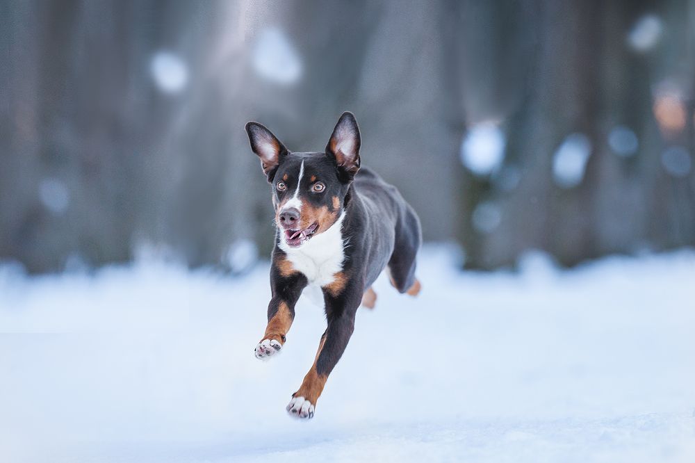 Photograph by Шитиков Владимир