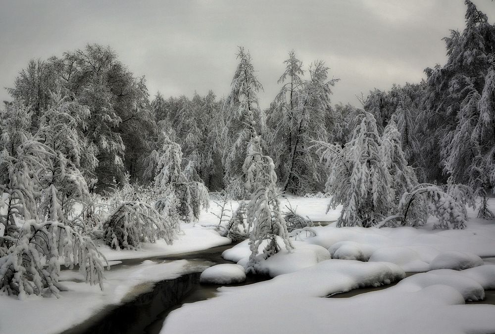 Photograph by Алексеев Сергей