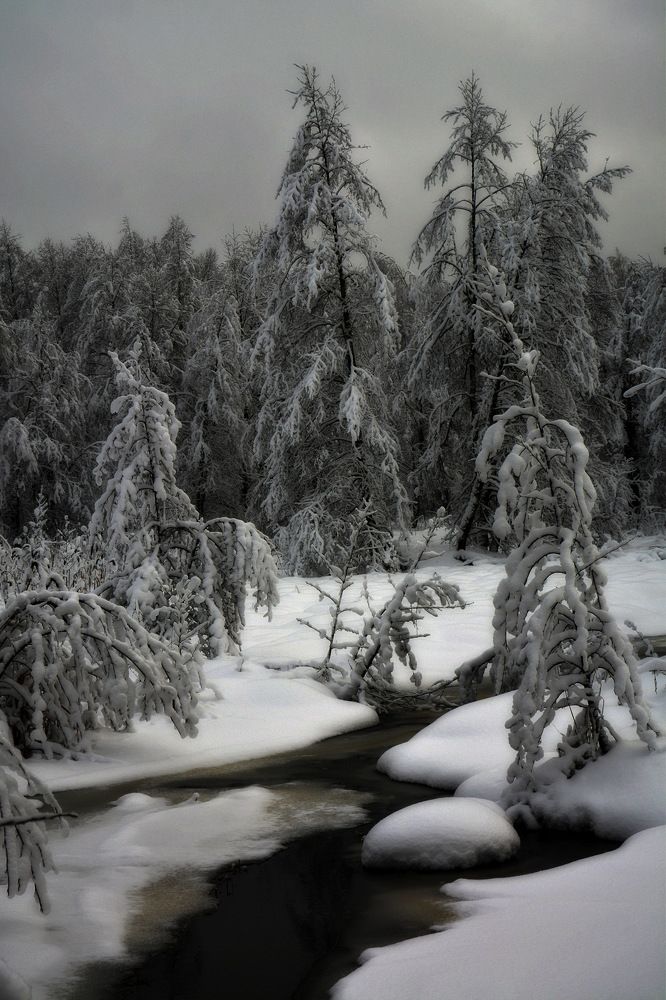 Photograph by Алексеев Сергей