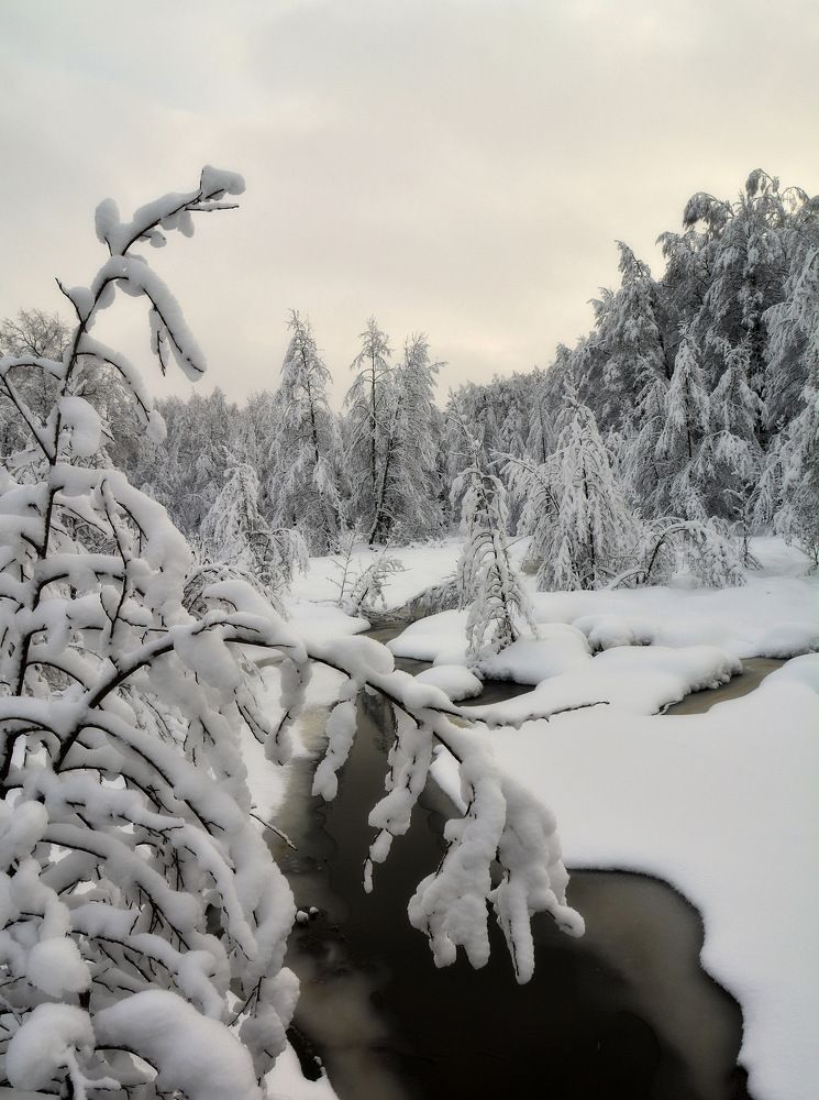 Photograph by Алексеев Сергей