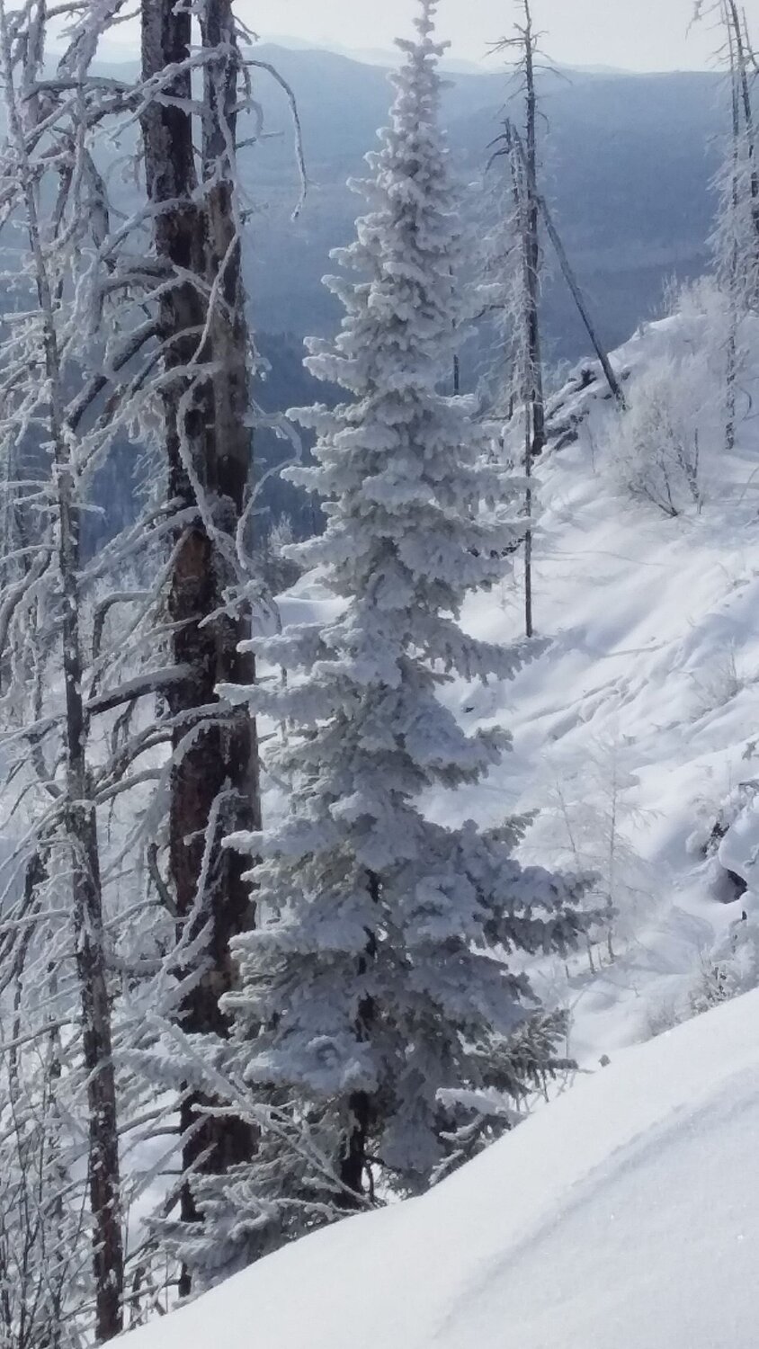 Photo #10027351