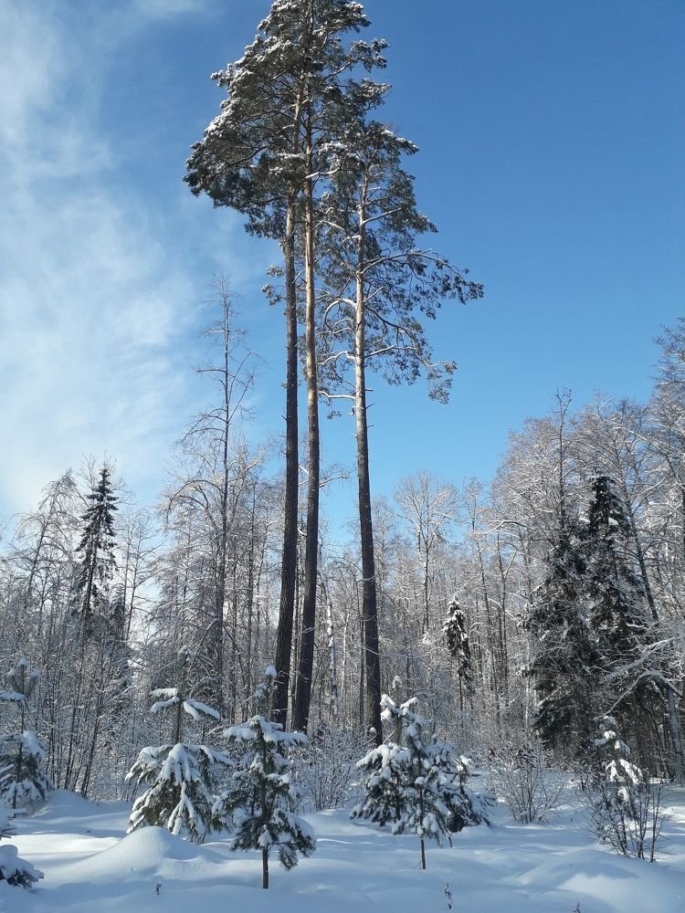 Photograph by Марина Гусева
