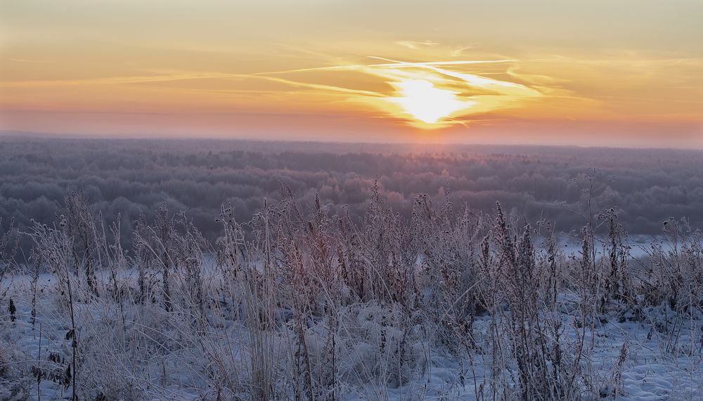 Иней в лучах восхода