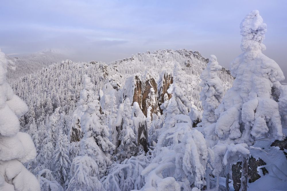 Перья в снегу