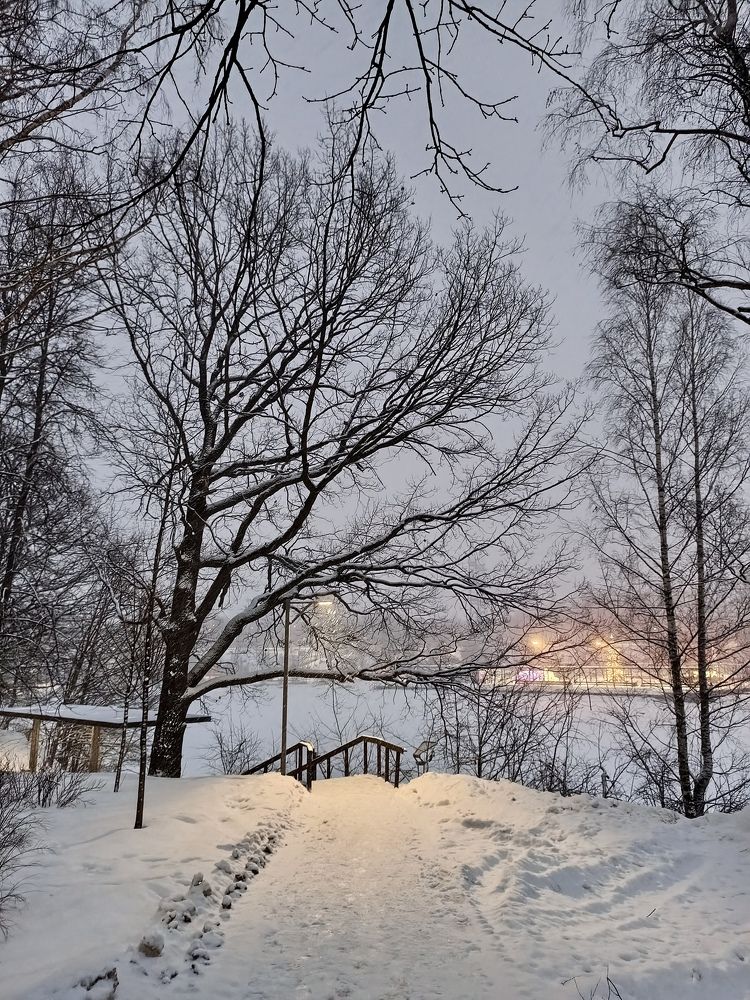 Photograph by Svet