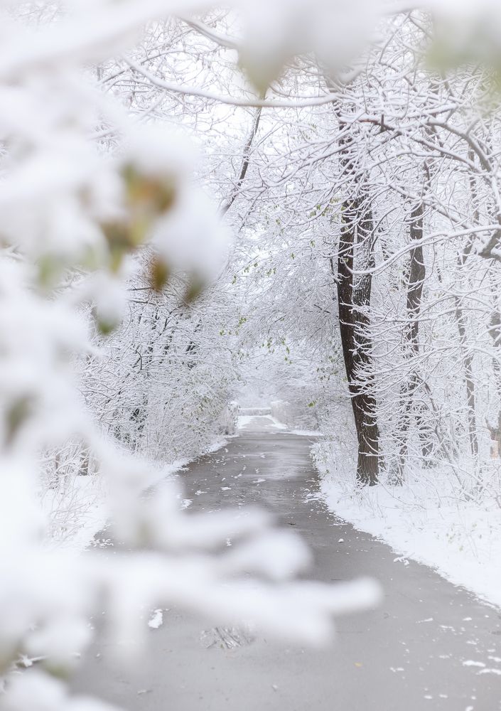 Фотография автора Анастасия Лапта