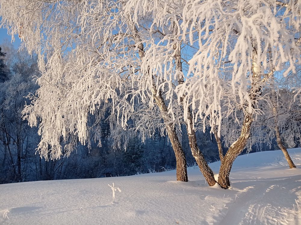 Фотография автора Кухта Мария